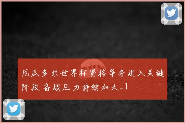 厄瓜多尔世界杯资格争夺进入关键阶段 备战压力持续加大_1