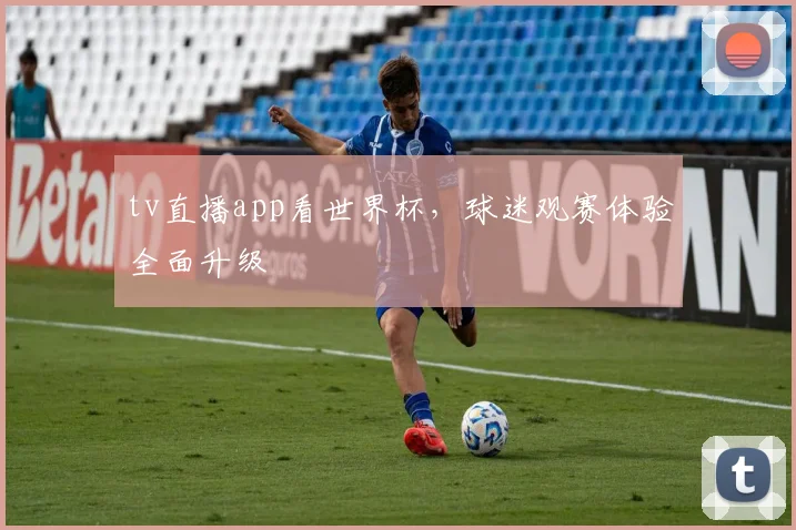 tv直播app看世界杯,球迷观赛体验全面升级