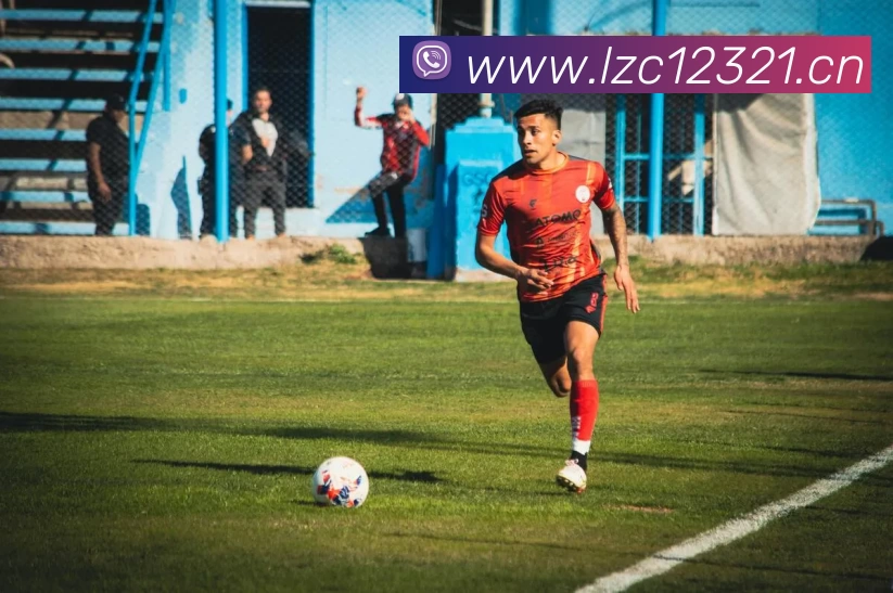 滚球官网app平台生态图